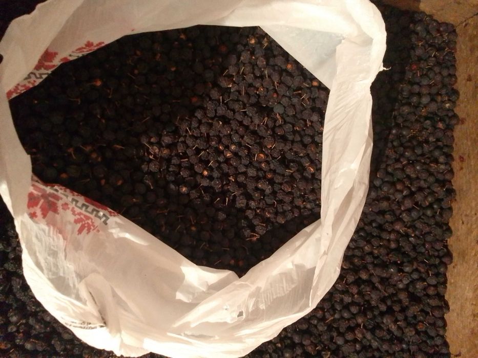 Продам брусницю та ягоди терену.