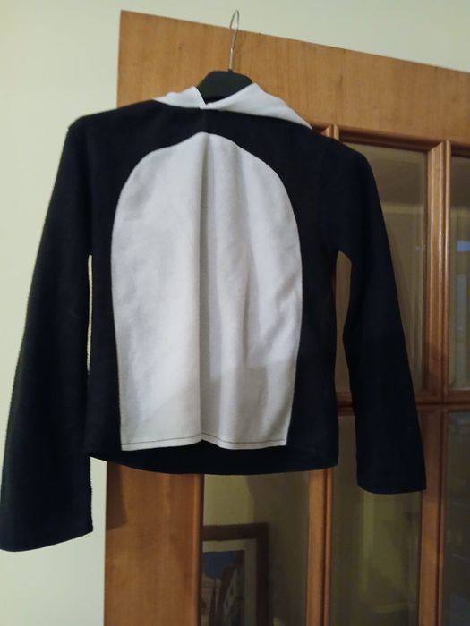 Fantasia Carnaval Panda 10 anos