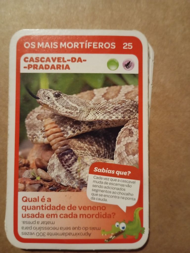 Cartas super animais - vida selvagem