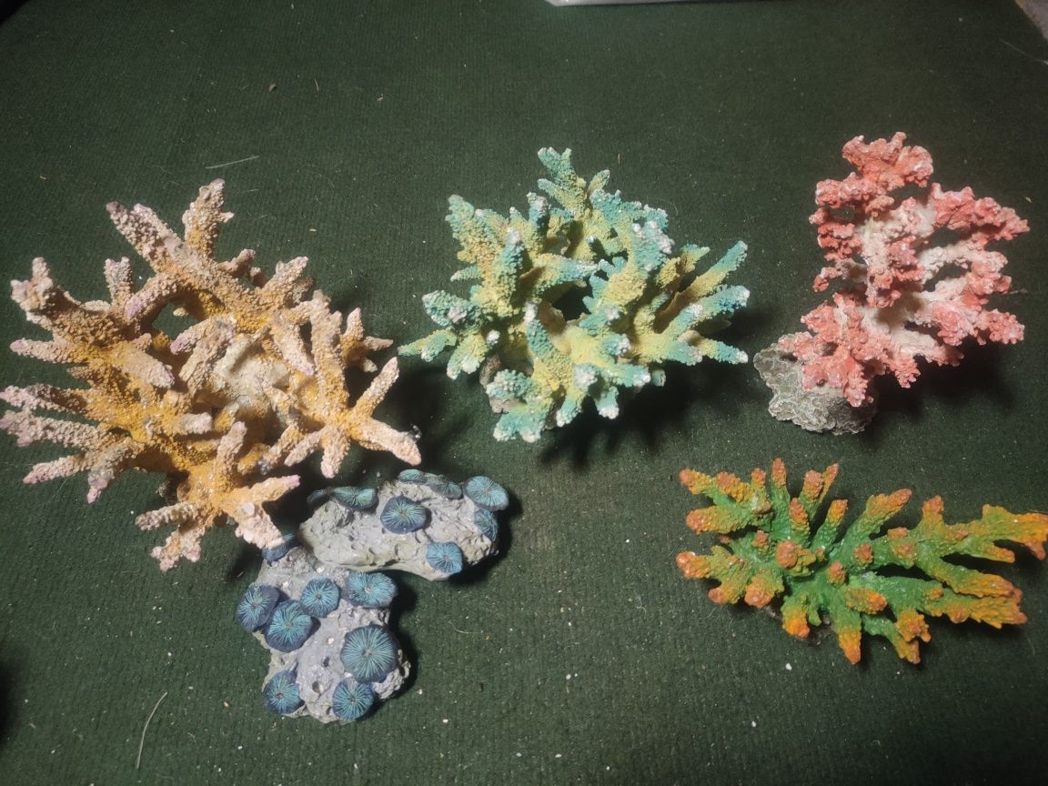 Rafa rafy koralowe ozdoby rośliny do akwarium
