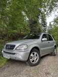 Mercedes Benz ML270 CDI W163 HAK ZDROWY