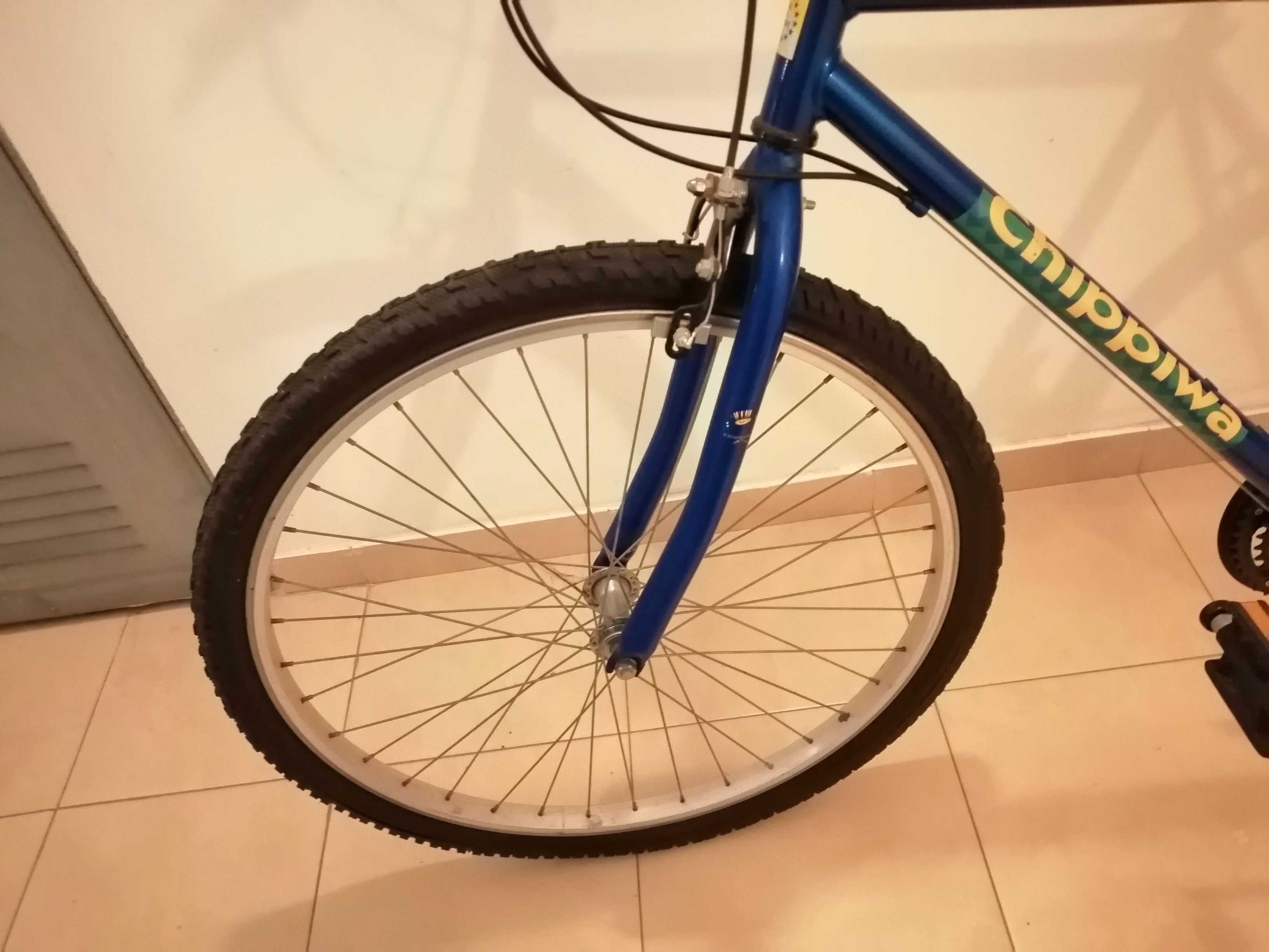 Bicicleta de montanha