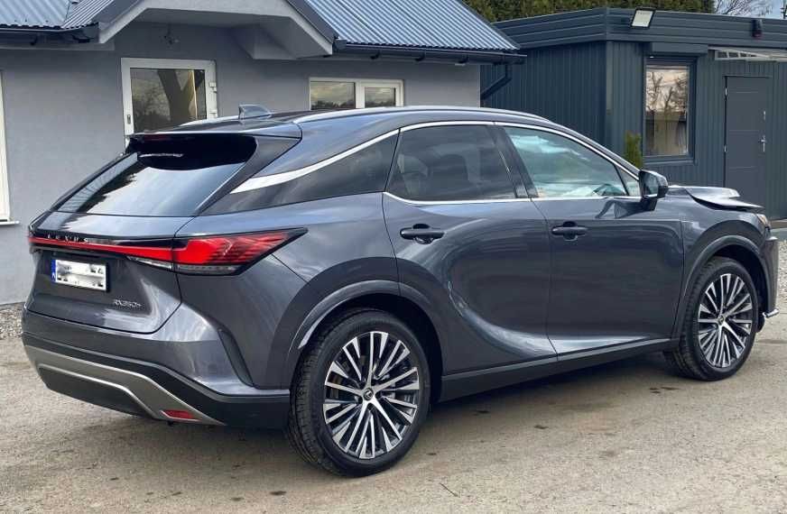 Бампер задній Ляда Двері Lexus RX розборка Lexus RX