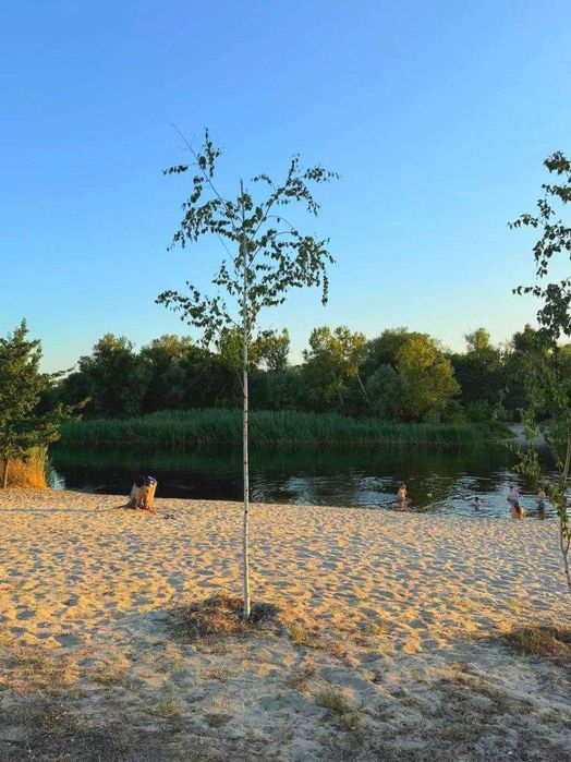 Продам продуманный дом в сосновом лесу река Обуховка центр