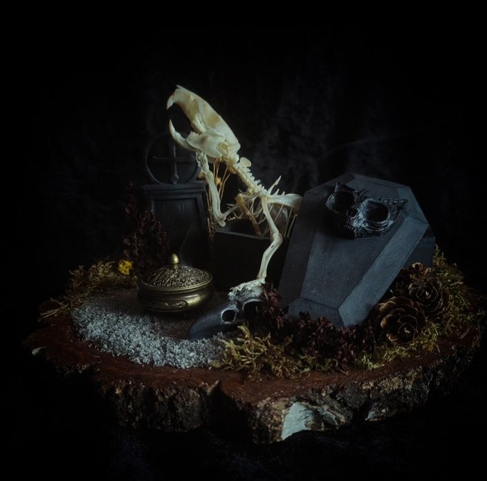 Taksydermia szkielet szczura