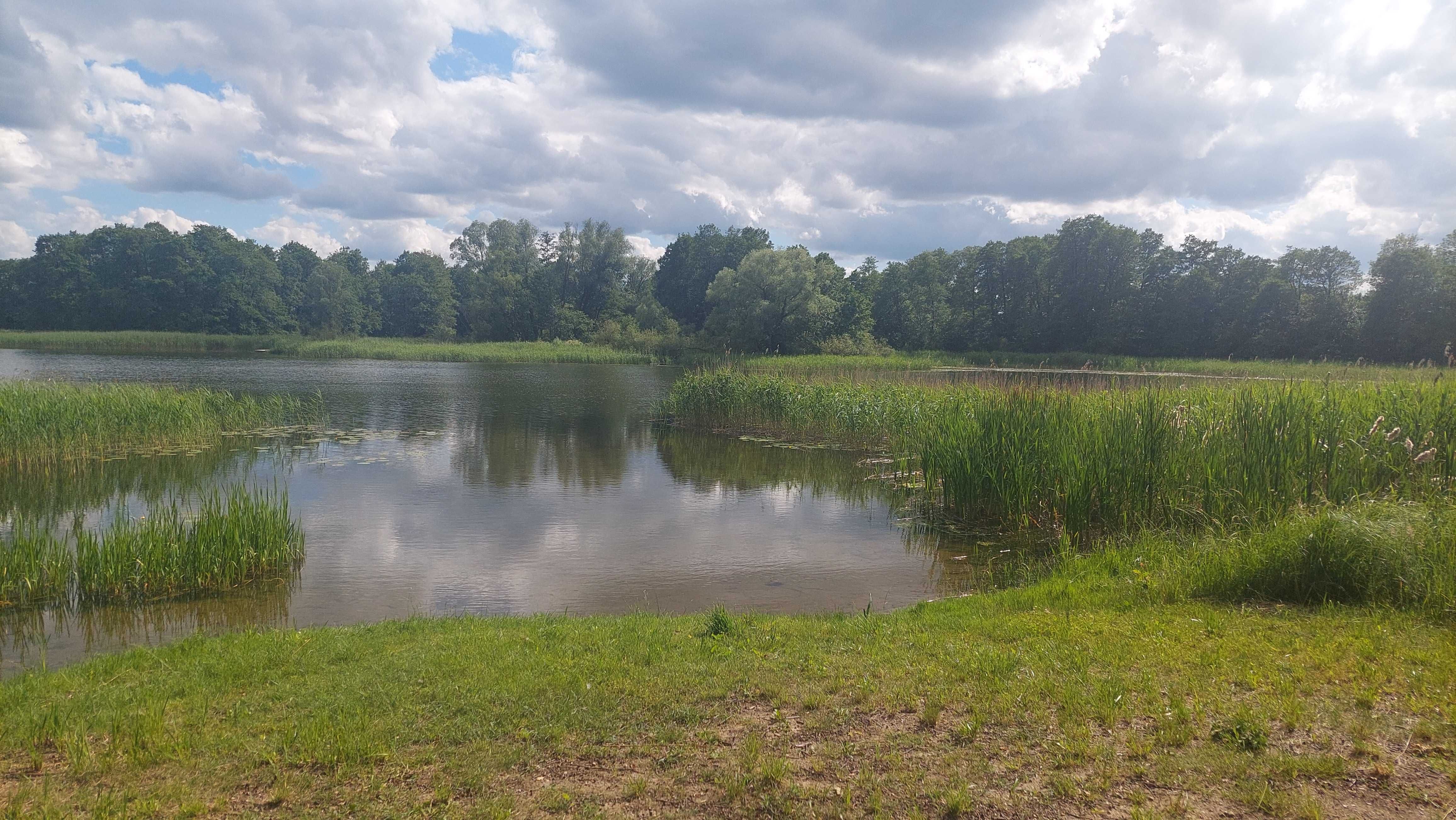 Wynajem Domków nad jeziorem