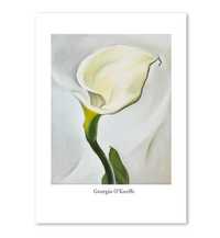 Georgia O'keeffe Plakat Kalie 02 Rozmiar 50x70