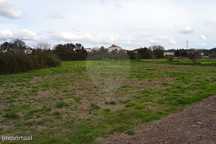 Terreno  para venda
