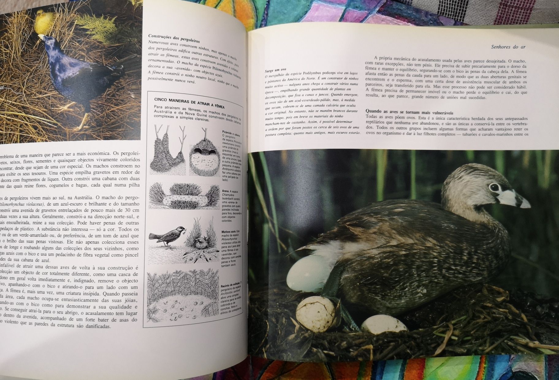 Livros Decoração