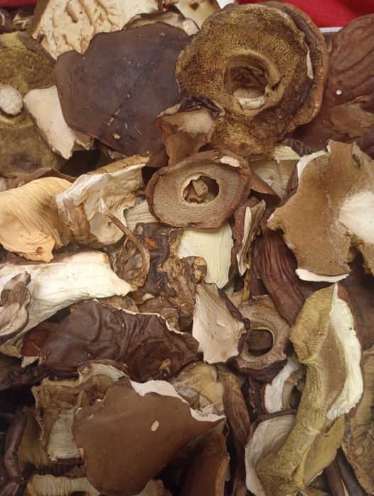 Sprzedam suszone podgrzybki