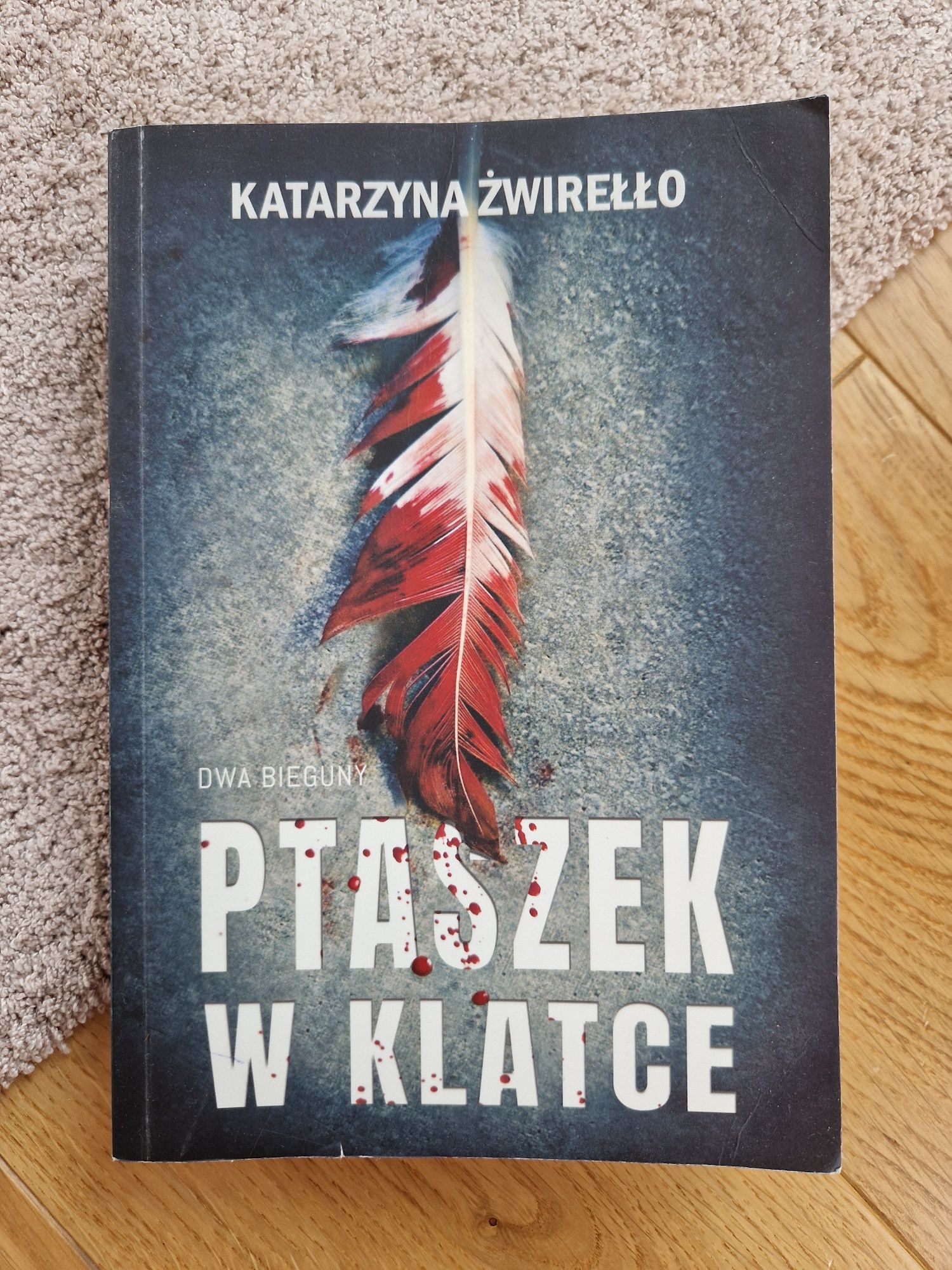 Ptaszek w klatce Katarzyna Żwirełło