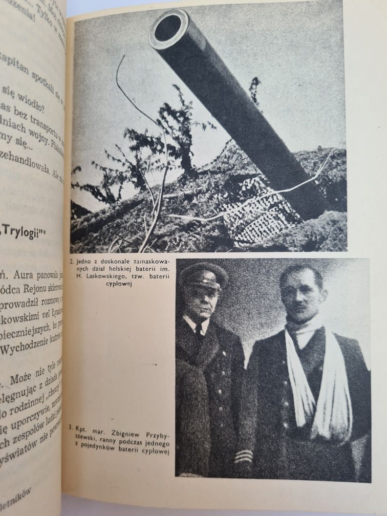 Samotny półwysep - Włodzimierz Steyer