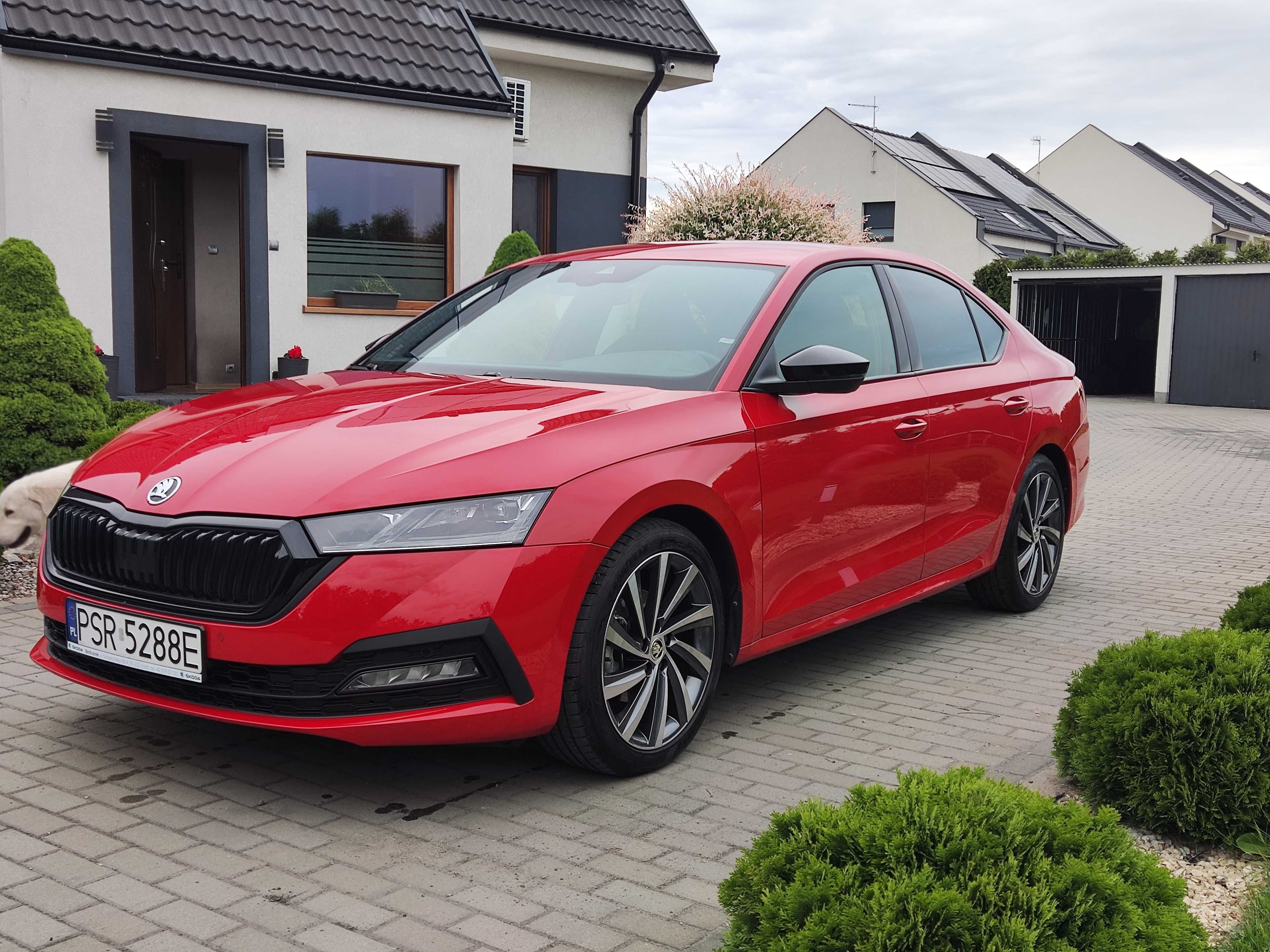 Skoda Octavia IV 4 benzyna e-Tec DSG Style+Dynamic Velvet Red jak NOWA