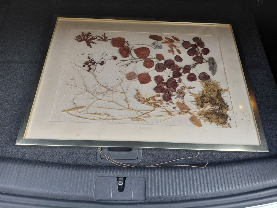 Quadro antigo de Sala para restauro 10€