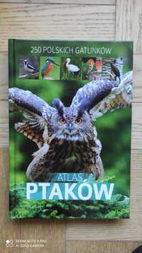 Książka Atlas Ptaków 250 polskich gatunków