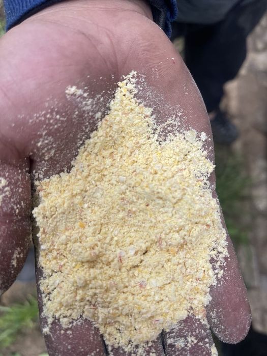 Śrutowanie gniecenie mielenie pakowanie zakiszanie w rękawy foliowe.