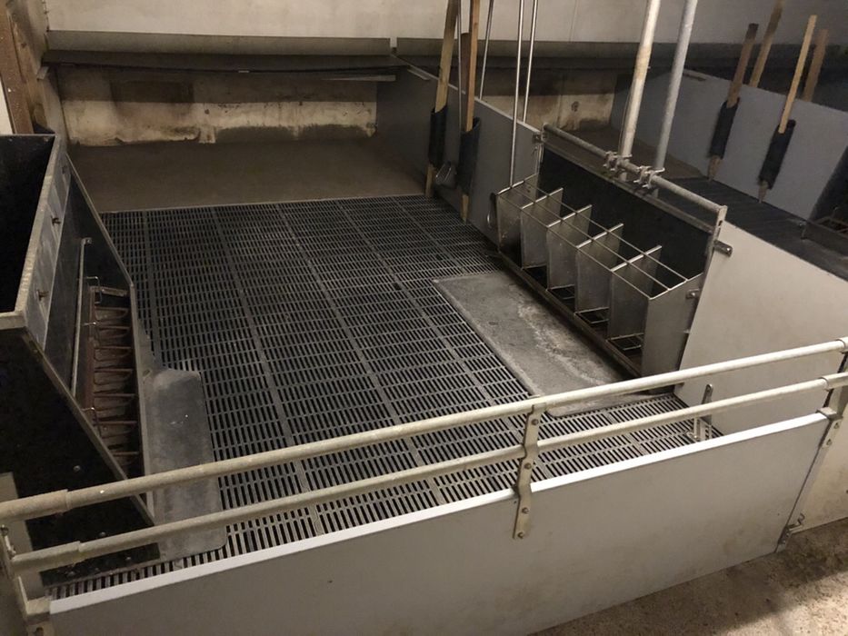 Automaty KORYTA Karmniki NA MOKRO - System Idealny Stan Duży Wybór
