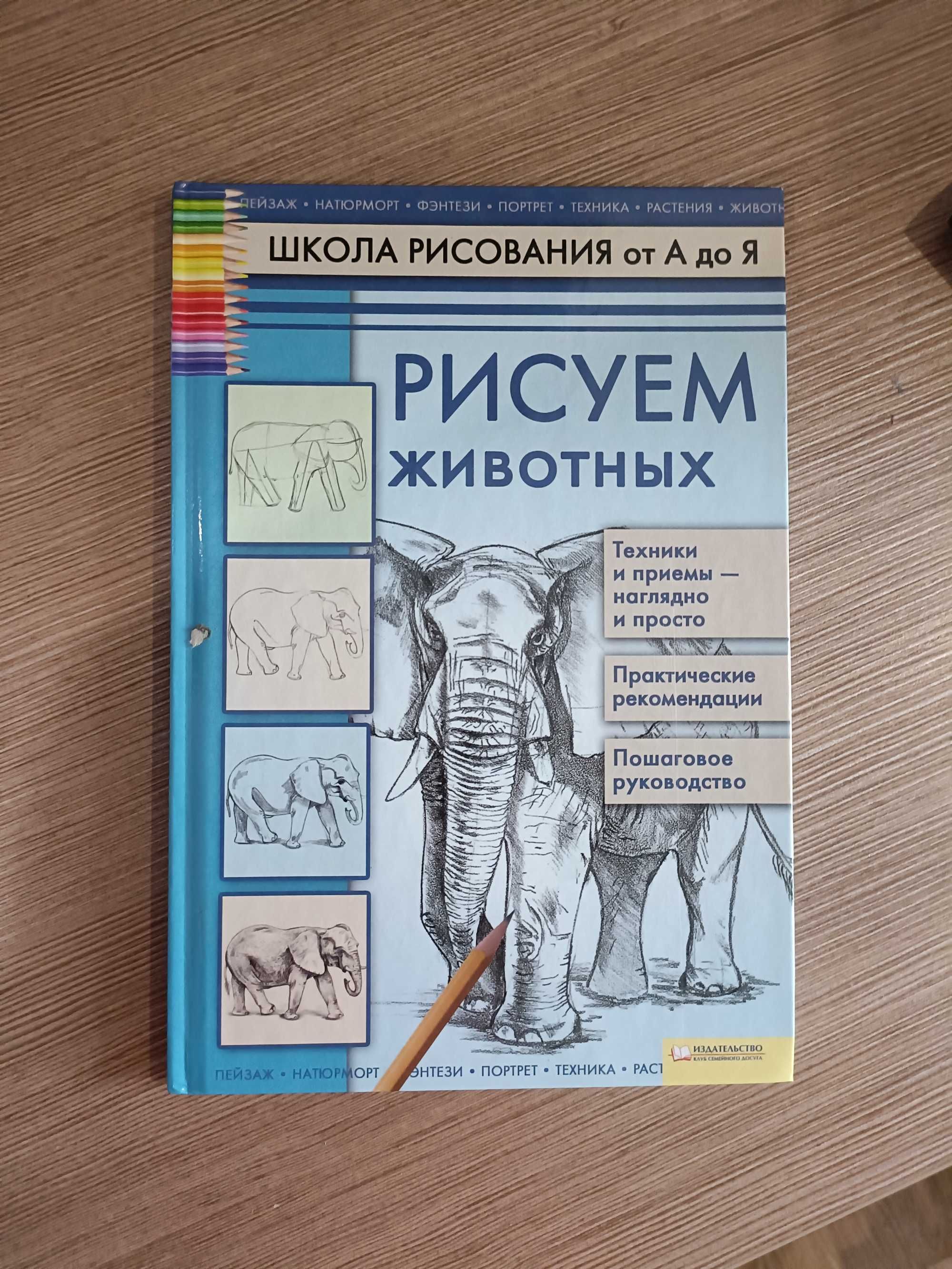 Рисуем  животных