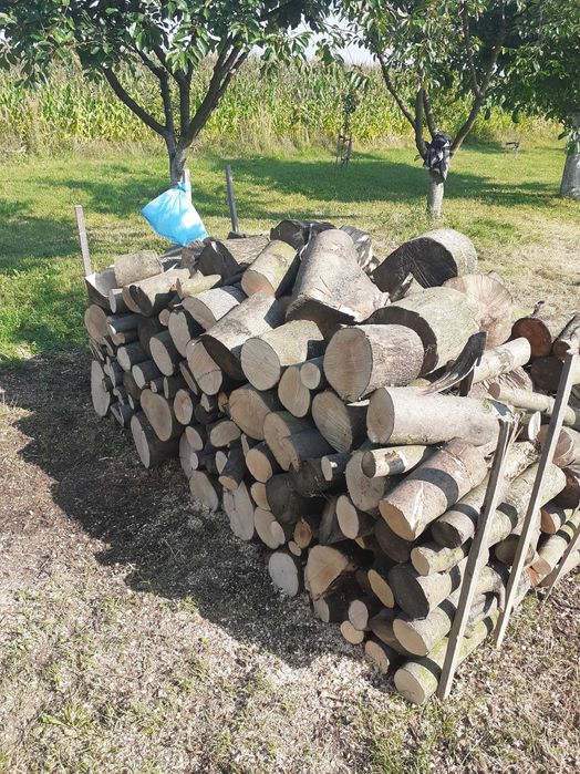 Drewno opałowe topola czereśnia