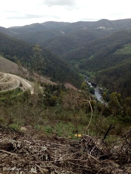 Terreno em Espiunca, Arouca, ideal para investimento turístico