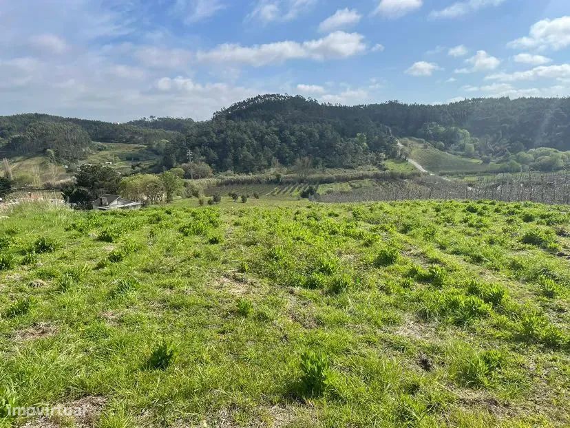 Terreno com projeto para moradia em Salir de Matos