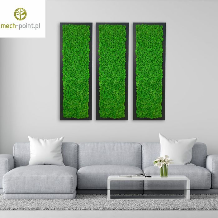 Żywy obraz ściana 3D mech chrobotek