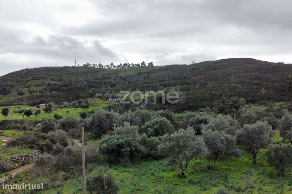 Terreno Rústico - Mexilhoeira Grande