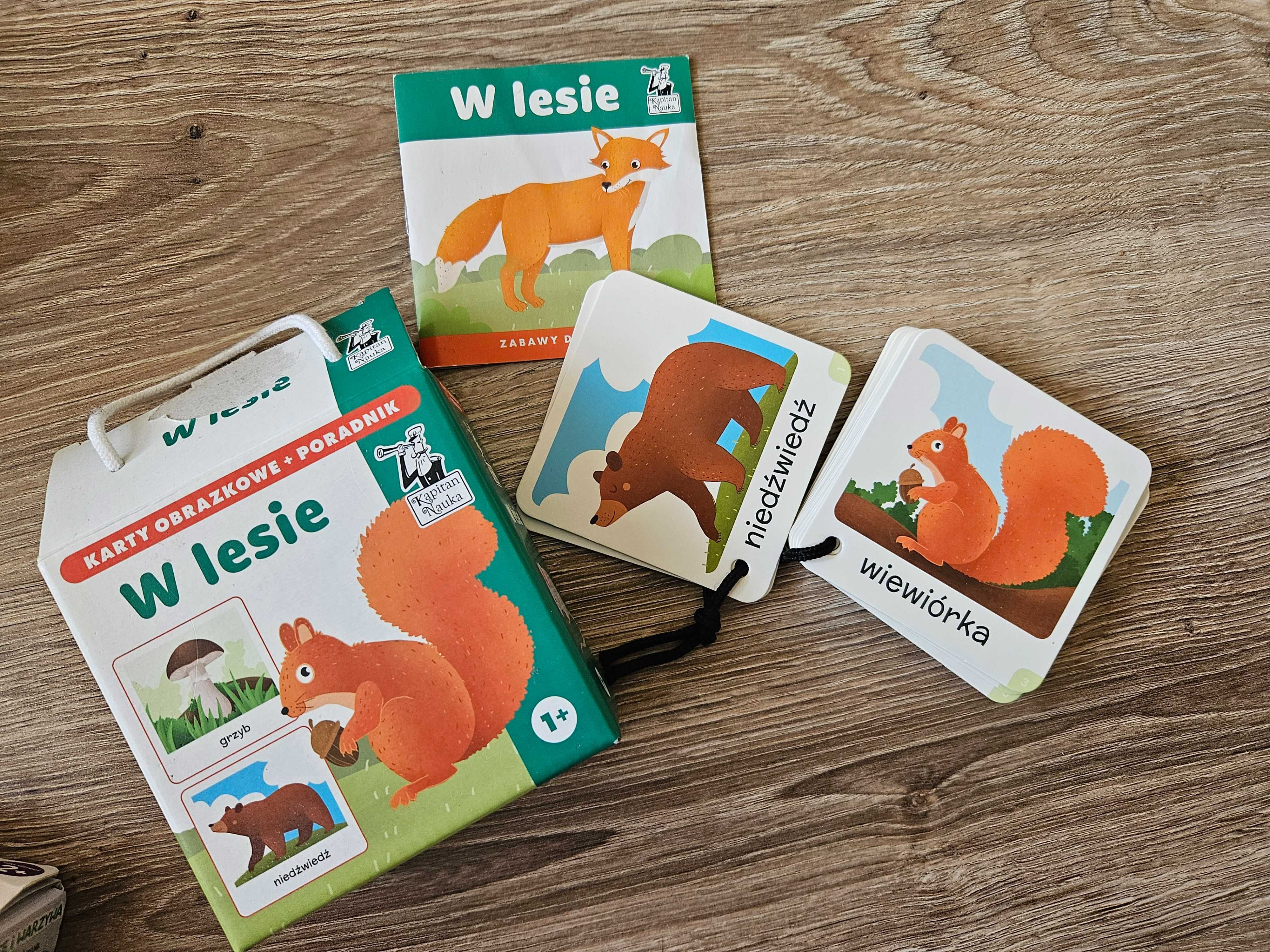 Karty obrazkowe w lesie + poradnik, 1+