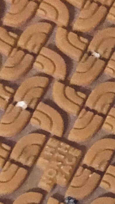 Шлепки мужские The North Face