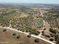Terreno em Pavia, Mora (MOR058)
