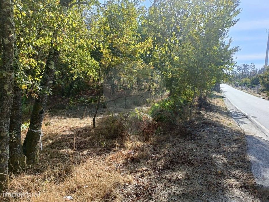 Terreno  para venda