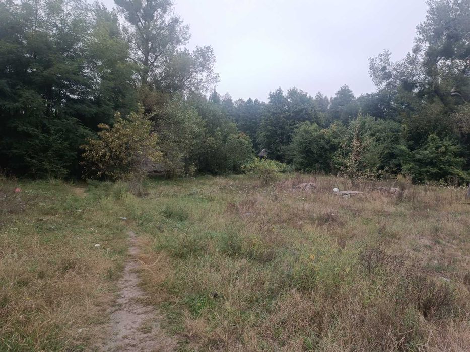 Продаж земельної ділянки, площею 0.2444 га, Рівненська обл.