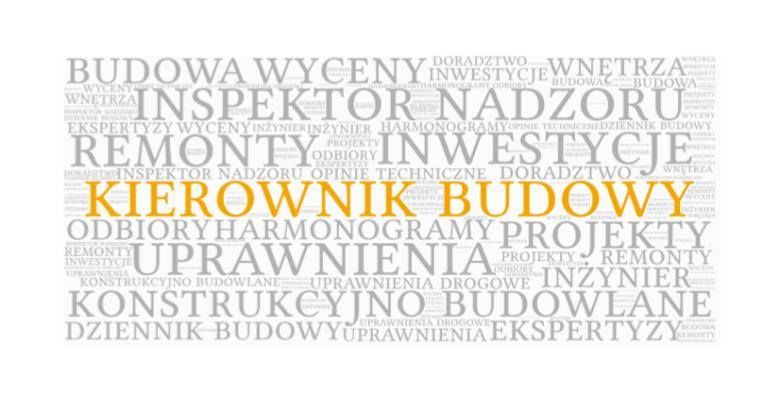 Kierownik budowy Inspektor nadzoru kontrola  budynków ekspertyzy Śląsk