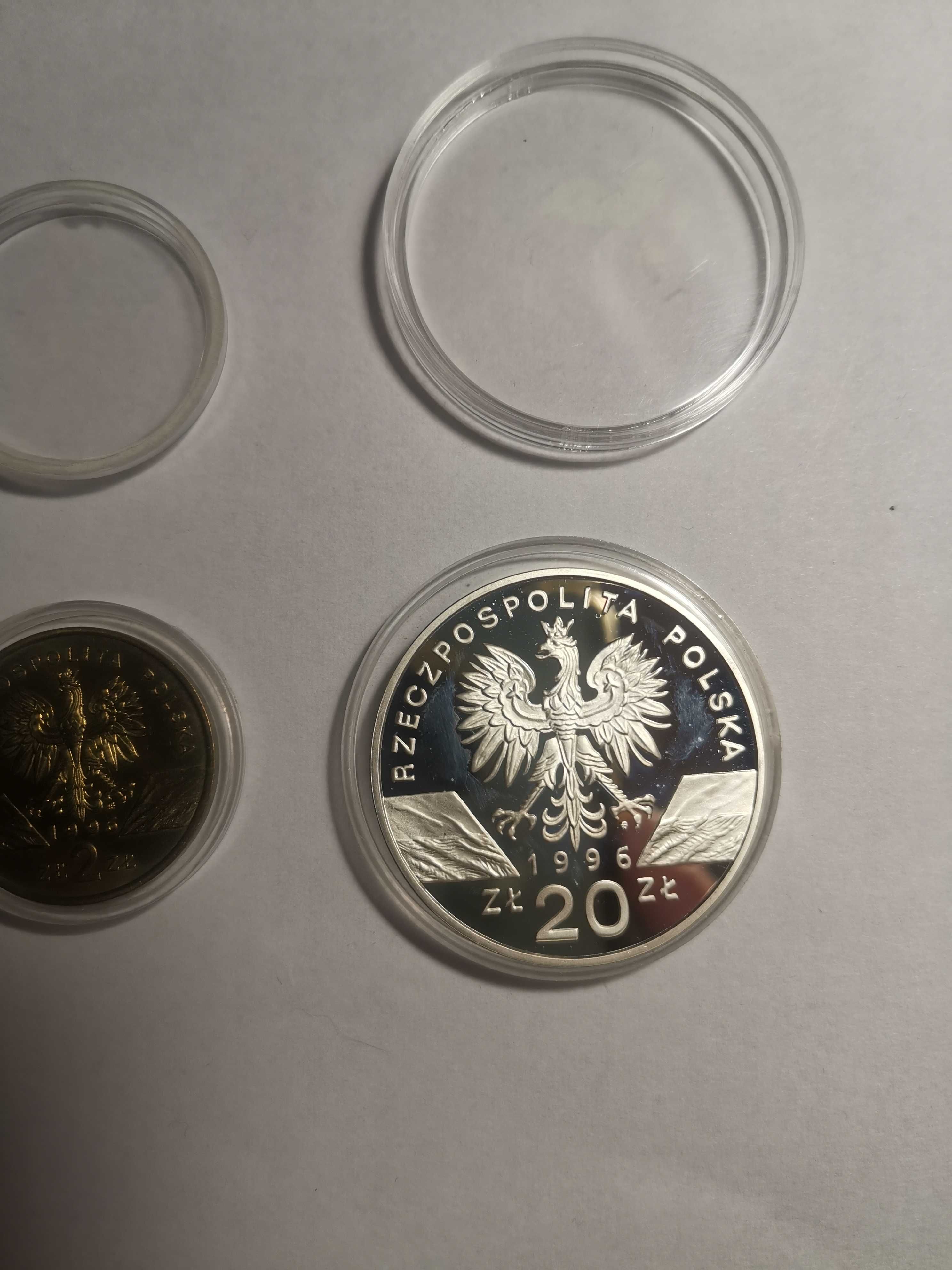 Srebrna moneta Jeż 20zł - 1996r