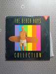 Vinil Beach Boys