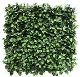 Jardim vertical GARDENIA