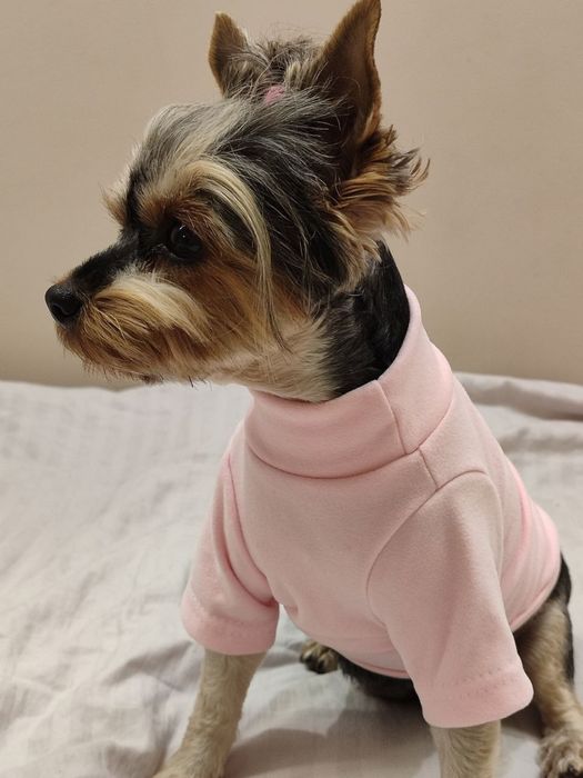 Зимово-осінній светр для маленьких порід собак