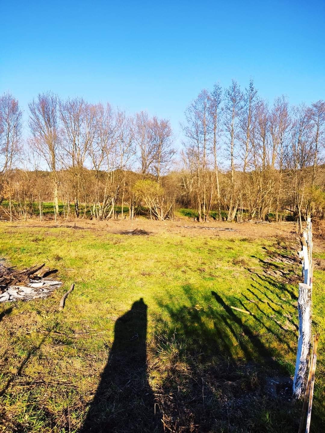 Terrenos rusticos Viseu