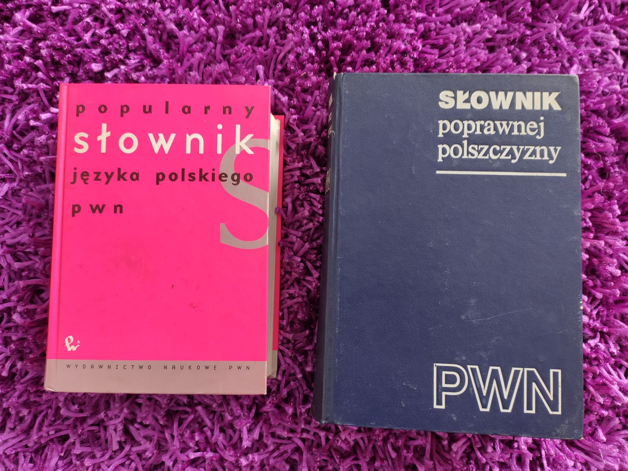 Słownik poprawnej polszczyzny 1980 i slownik języka polskiego PWN