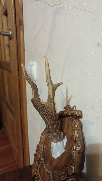 Роги козулі на підставці