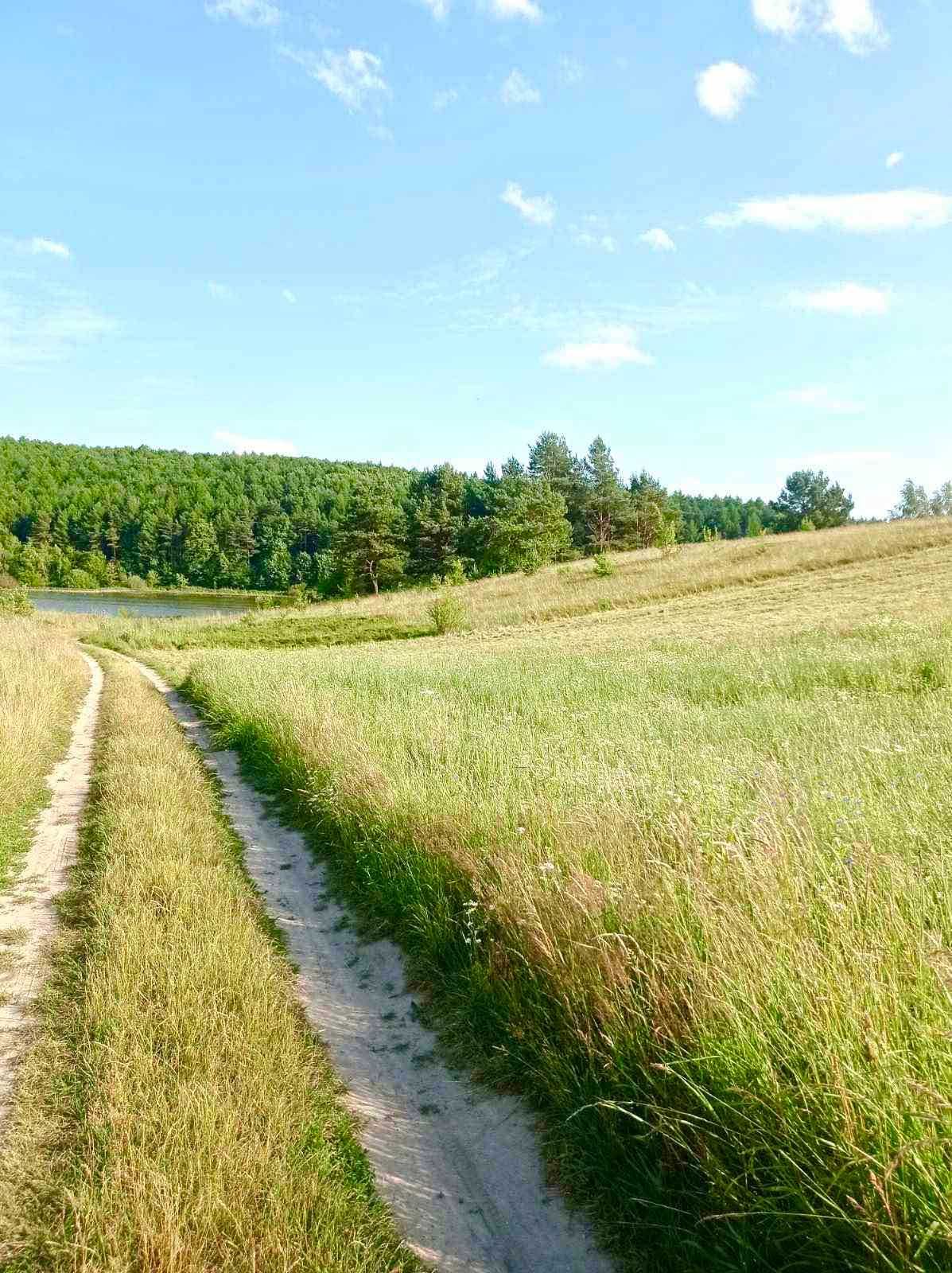 Продаж земельної ділянки. с. Добростани