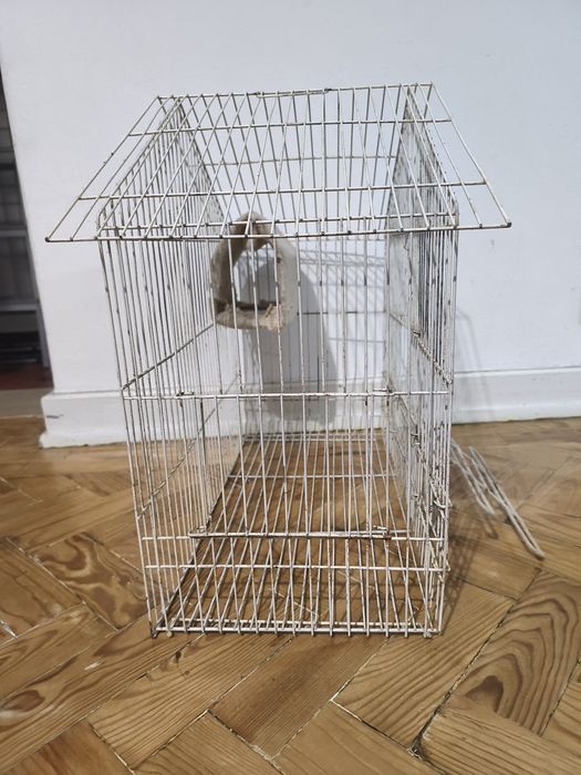 Vendo gaiola para pássaro doméstico + acessórios + papa para filhotes