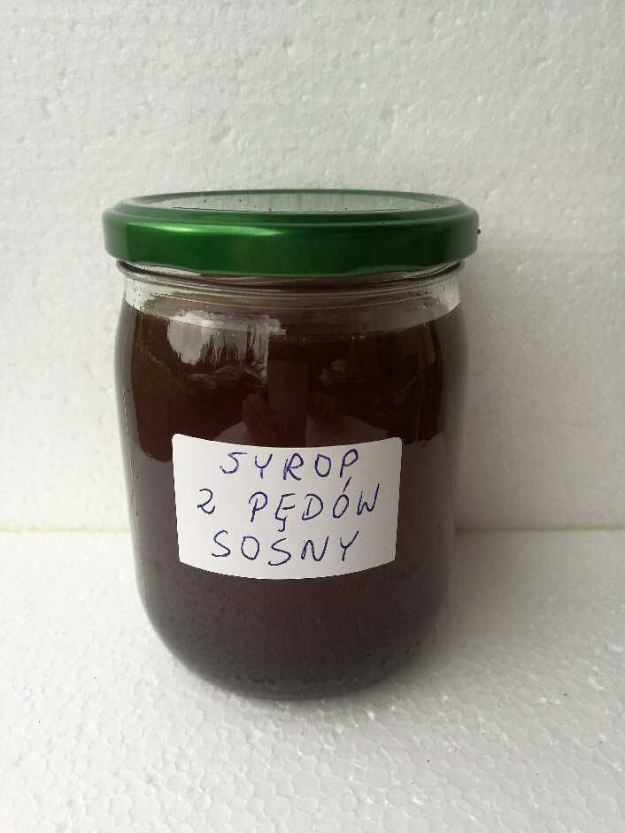 Syrop z młodych pędów sosny