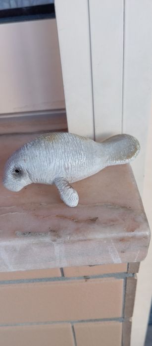 Animal leão marinho 1992