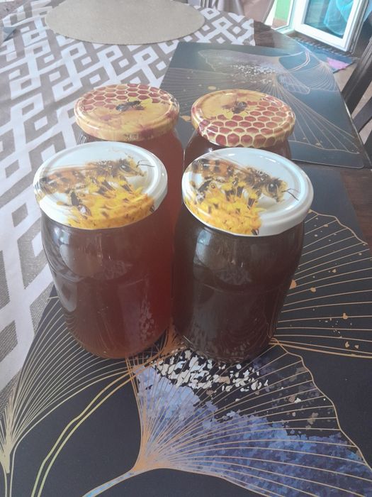 Sprzedam miód  spadzowy