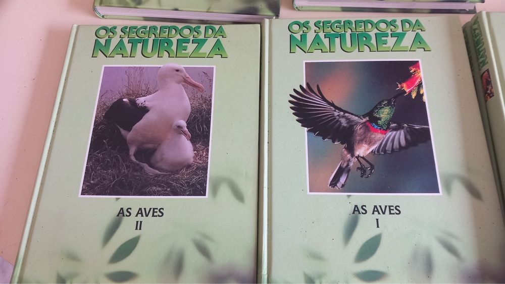 Os segredos da natureza