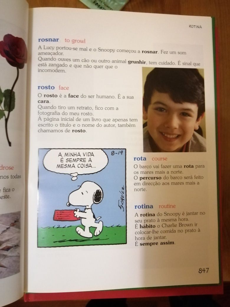 Dicionários de português inglês infantil