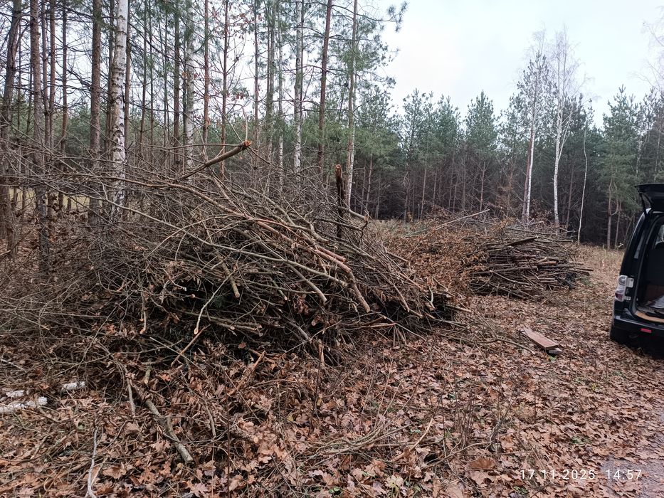 Оренда подрібнювача гілок, Arpal