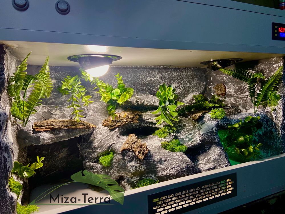 Terrarium 80x40x50