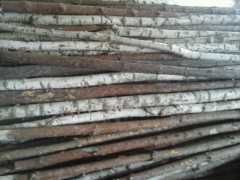 Steple 3.5 m Wieliczka  Ochmanow
